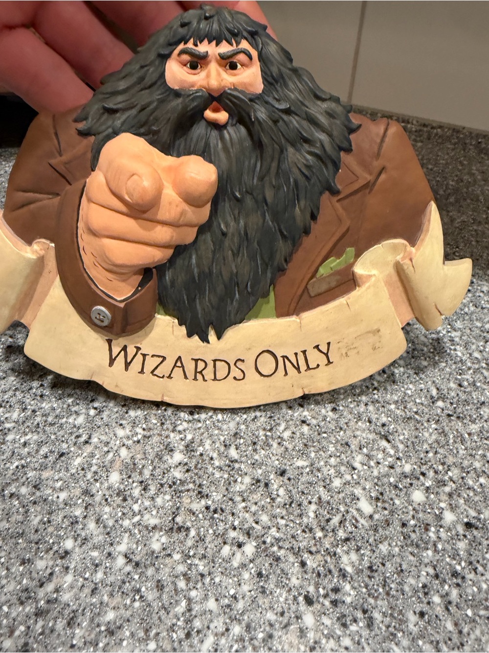 2000’s Hallmark Hagrid Wizards Only Pointing Plaque - Decorative